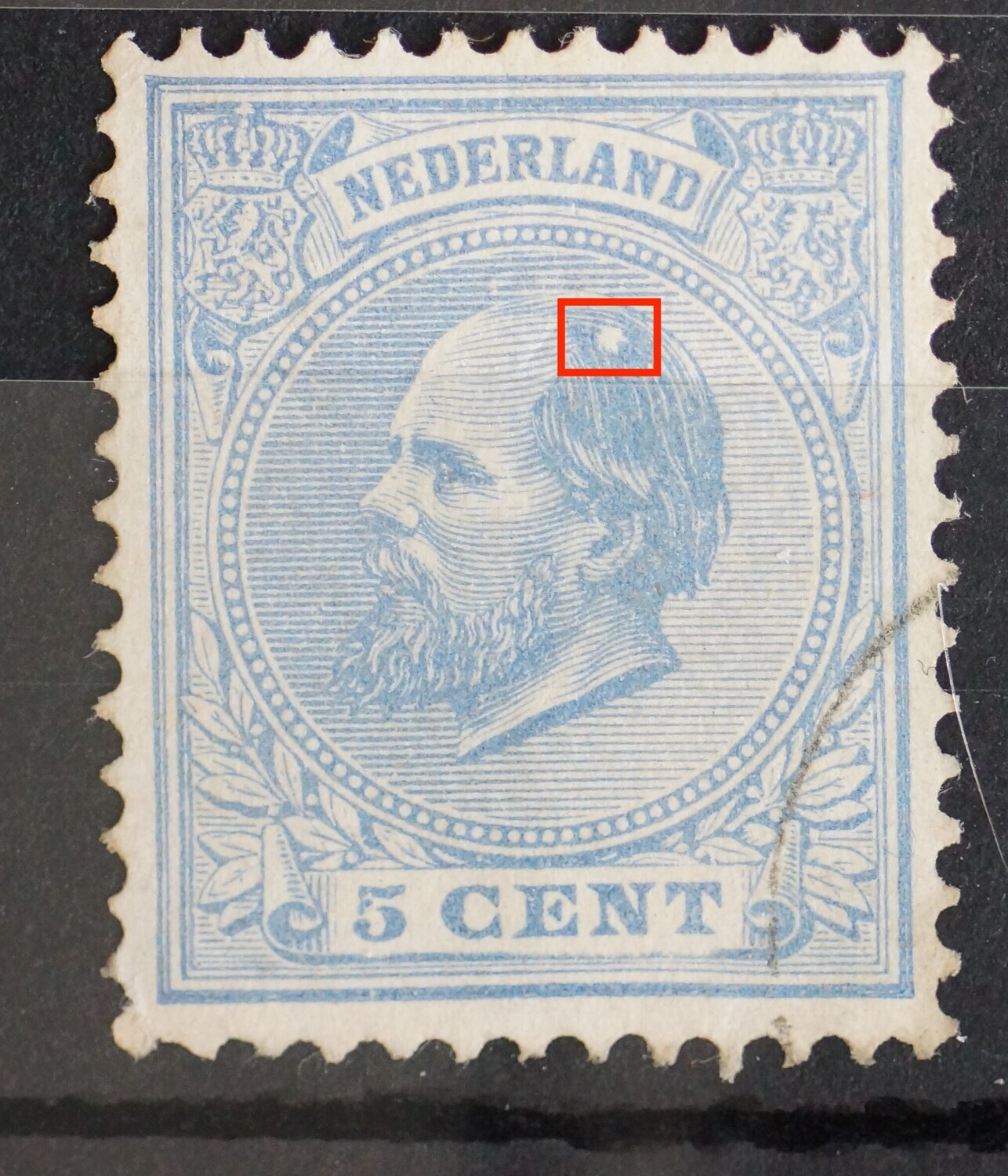 NVPH 19 - witte vlek in het haar NVPH 19 - witte vlek in het haar