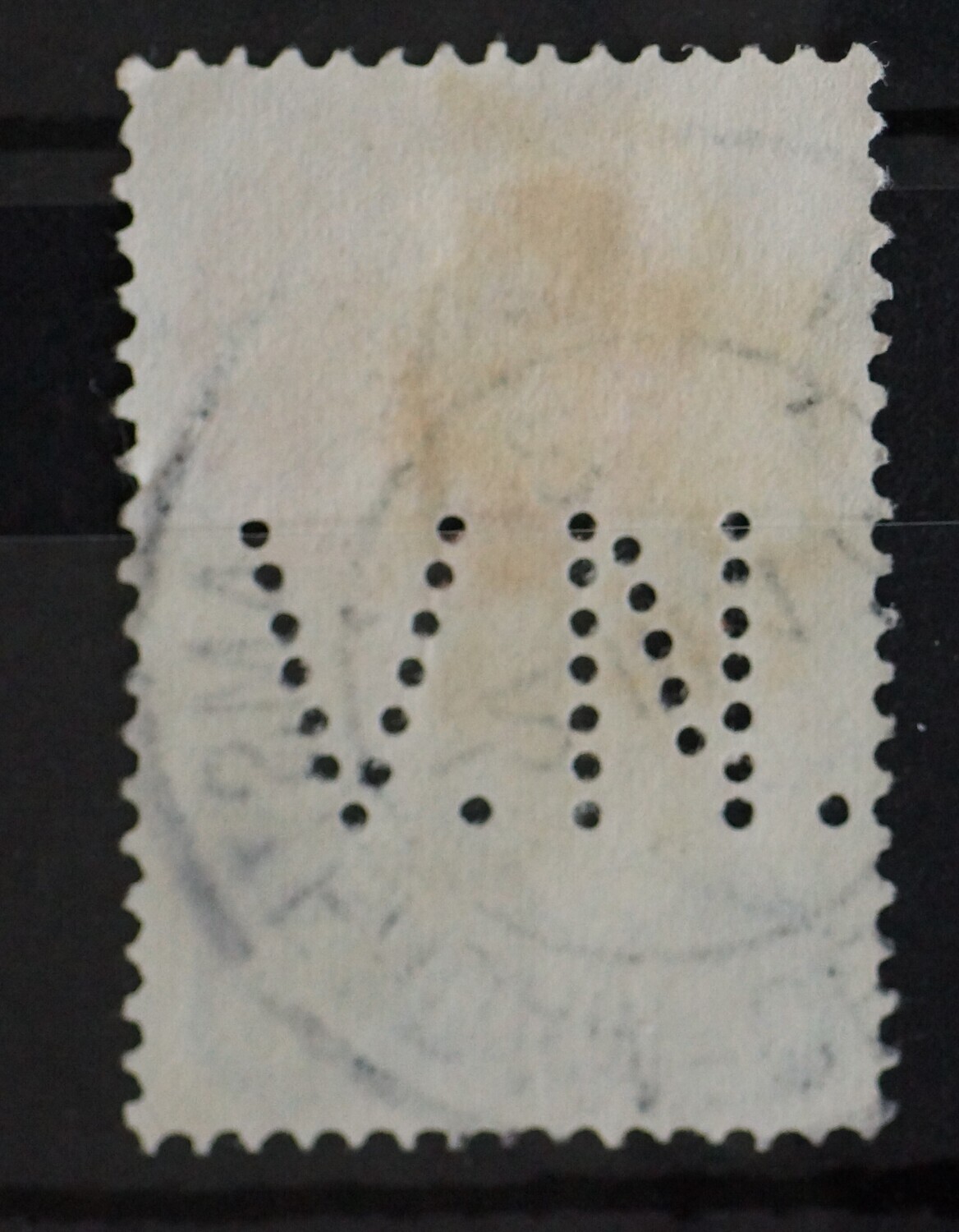 V.N. in LP 9