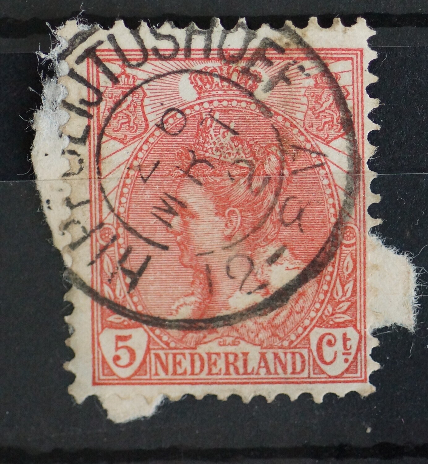 Hippolijtushoef op NVPH 60 Hippolijtushoef op NVPH 60