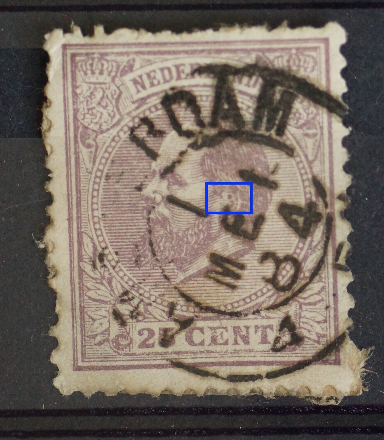 NVPH 26 - violette vlek/punt in het oor NVPH 26 - violette vlek/punt in het oor