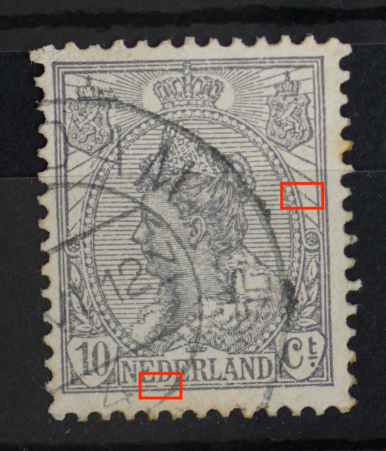 NVPH 81 - o.a. breuk in kaderlijn onder de eerste D van NEDERLAND
