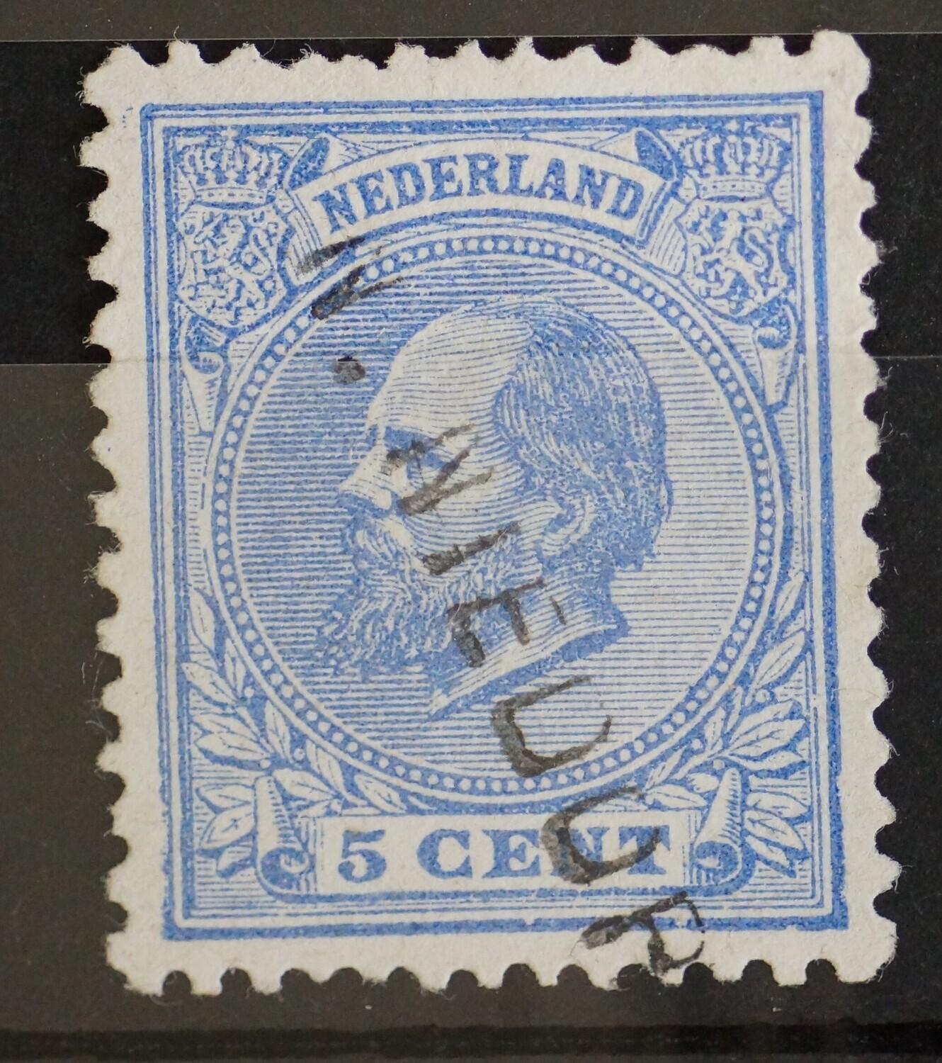 N. Niedorp op NVPH 19