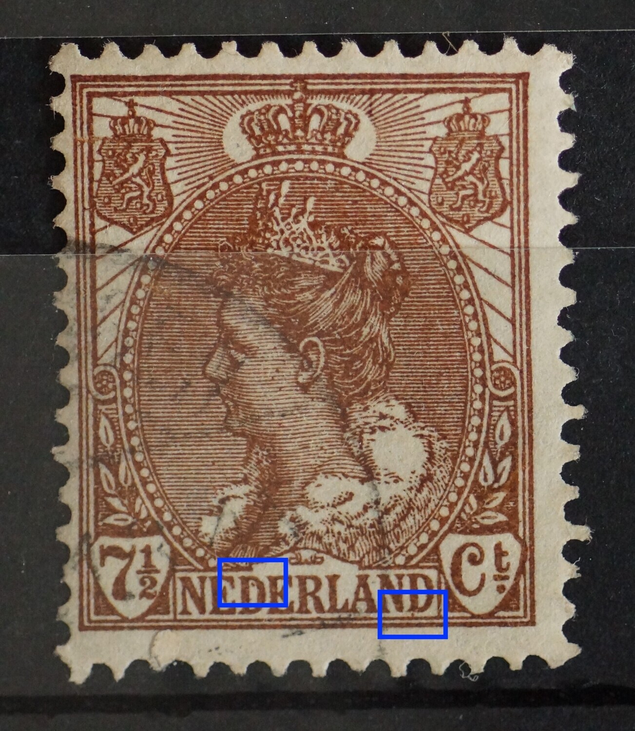 NVPH 61 - o.a. bruine stip in eerste D van NEDERLAND en onder de tweede D