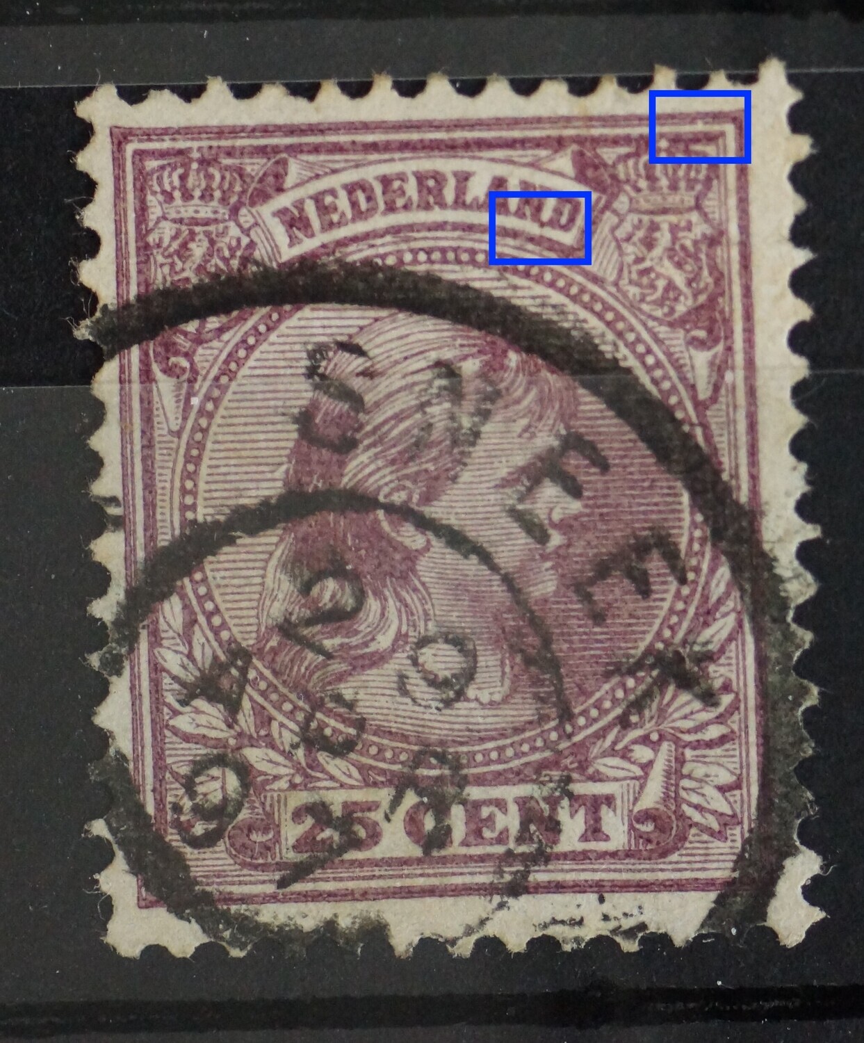NVPH 42 - violette punt tussen ND van NEDERLAND