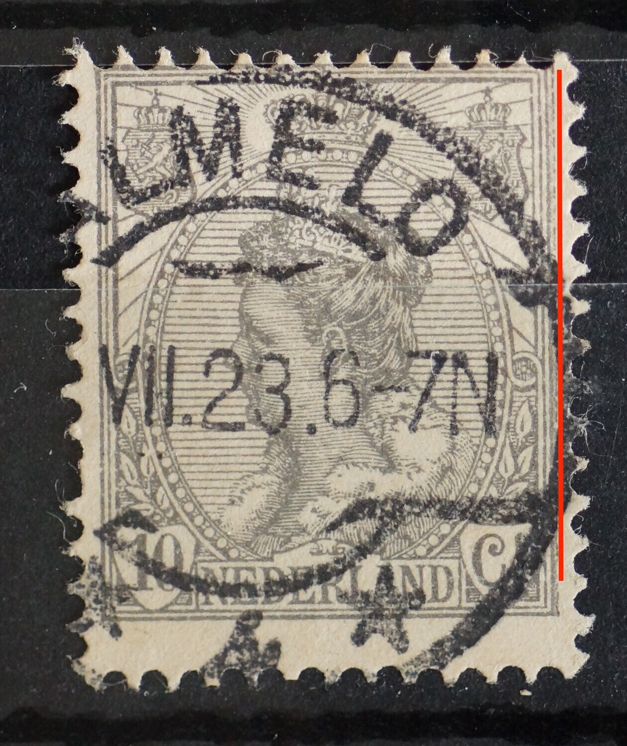 NVPH 81 - extra grijze lijn rechts van zegelbeeld