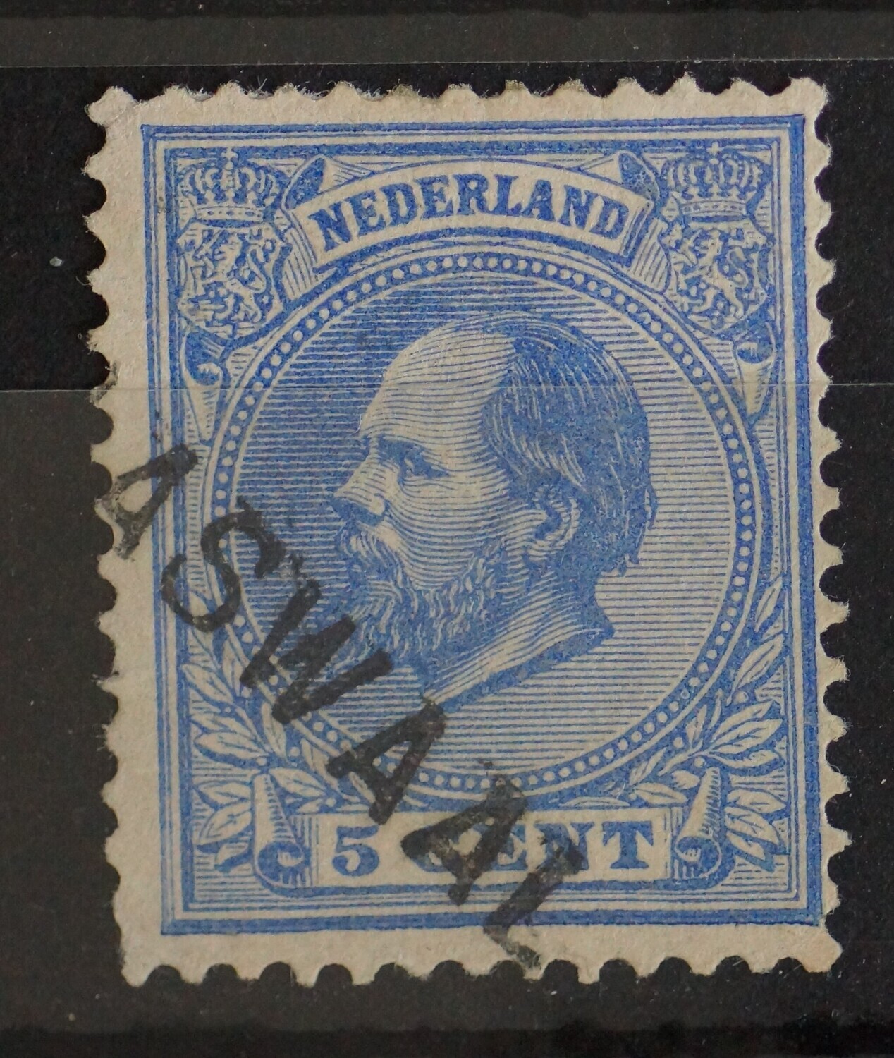 Klaaswaal op NVPH 19