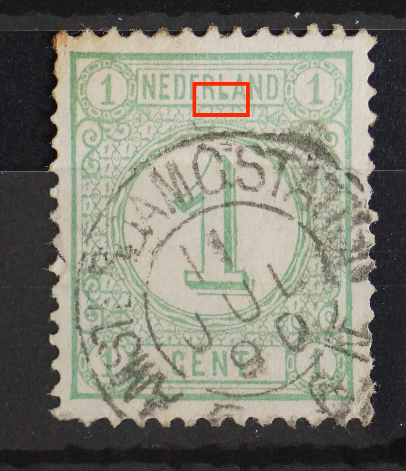 NVPH 31 (fraai) - "dikke" L van NEDERLAND