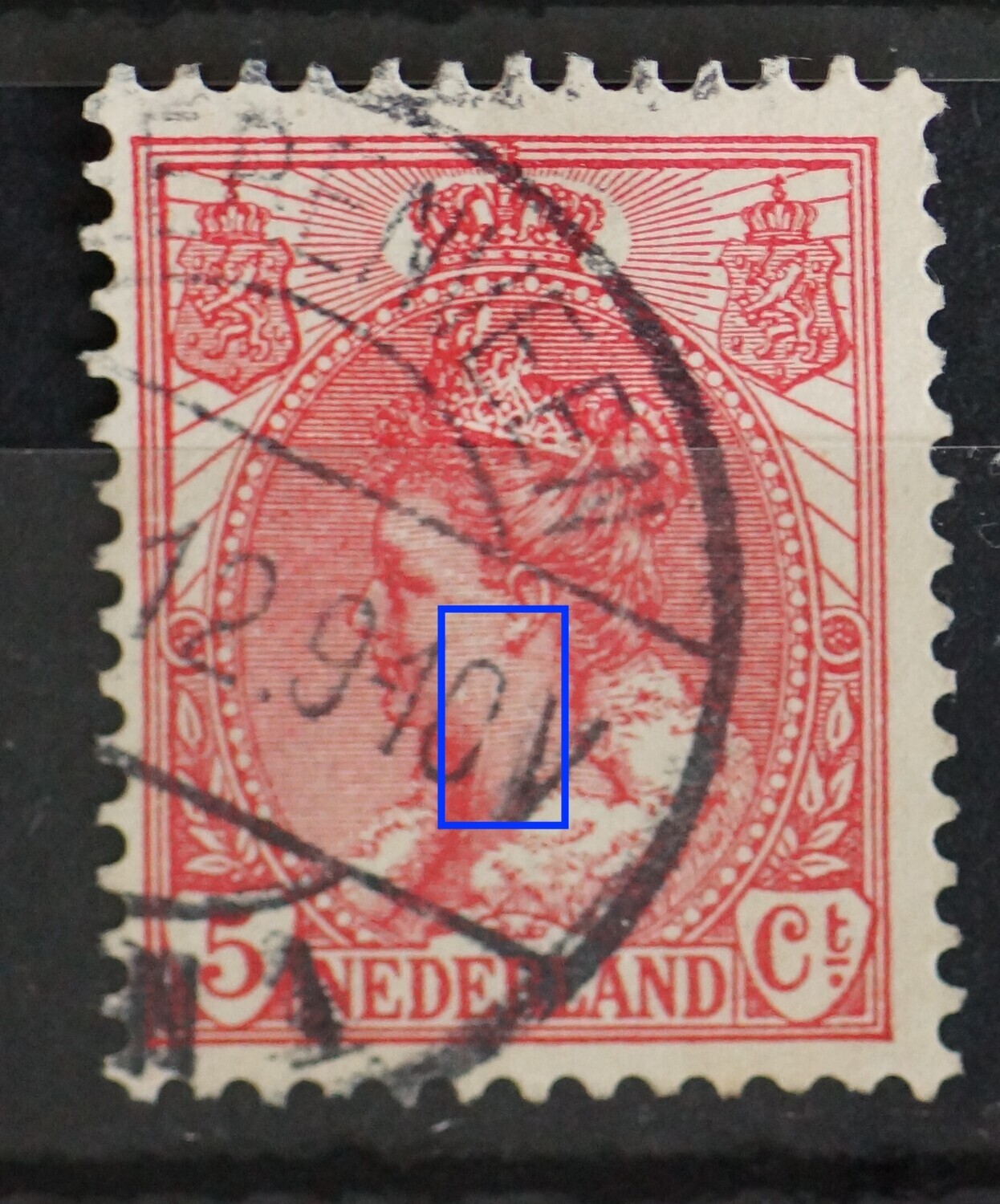 NVPH 60 - witte kras in de hals NVPH 60 - witte kras in de hals