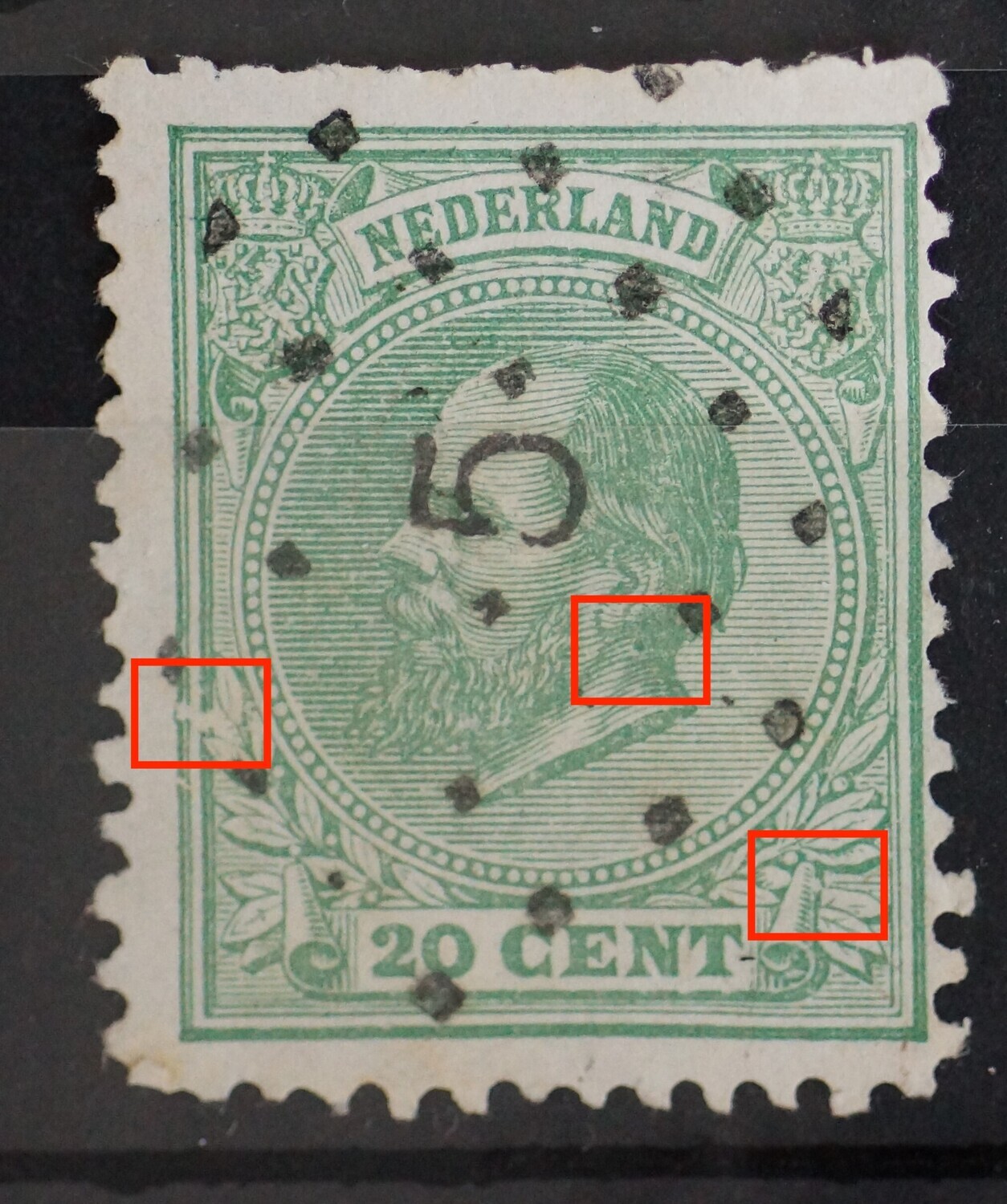 NVPH 24 - o.a. groene punt onder het oor, witte vlek in krul banier rechts