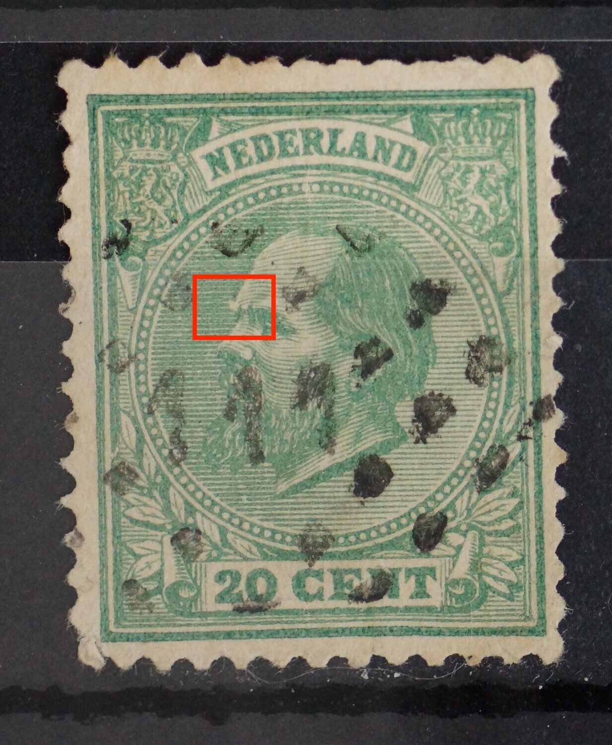 NVPH 24 - witte vlek voor het voorhoofd