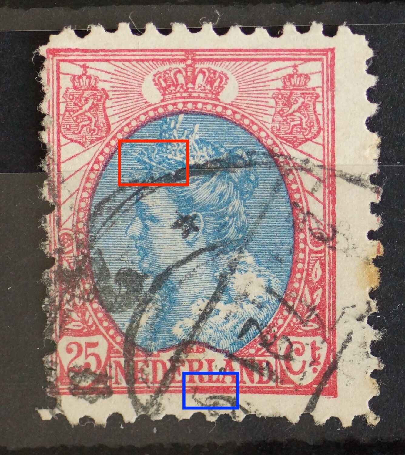 NVPH 71 - o.a. grote kras door het haar