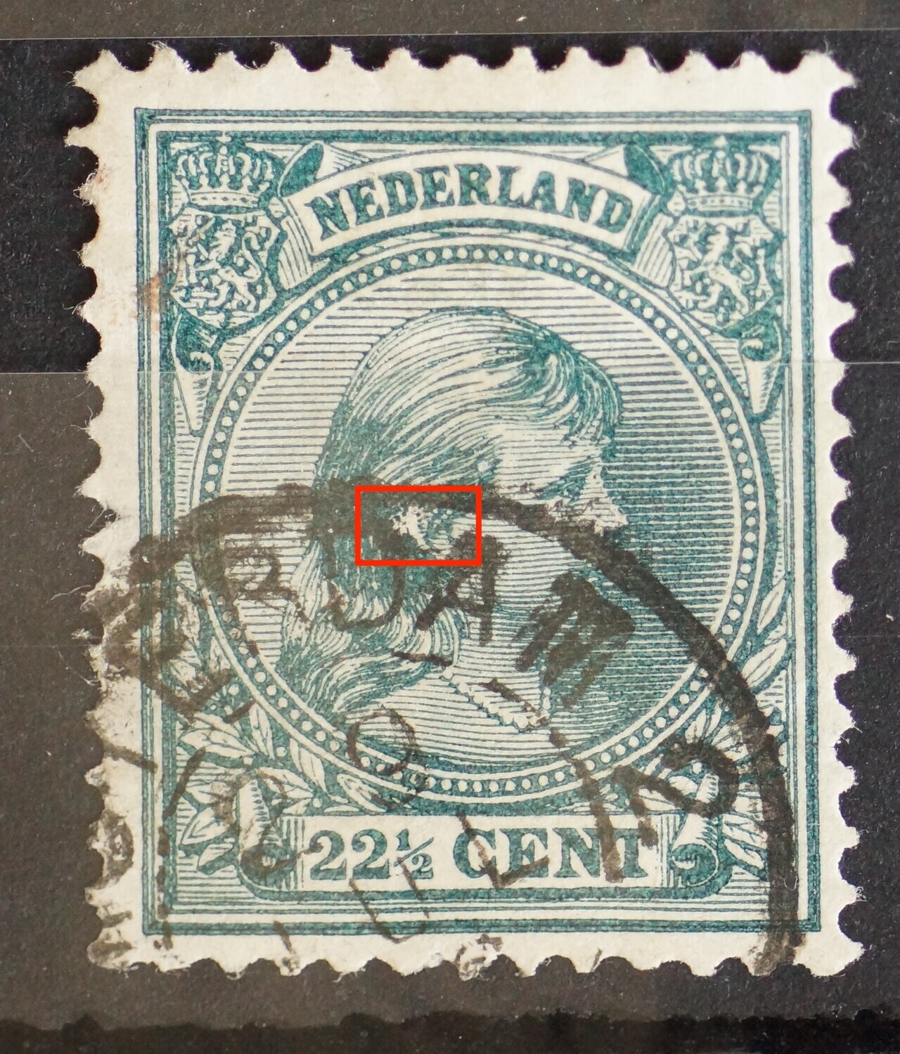 NVPH 41 - witte vlek in het oor