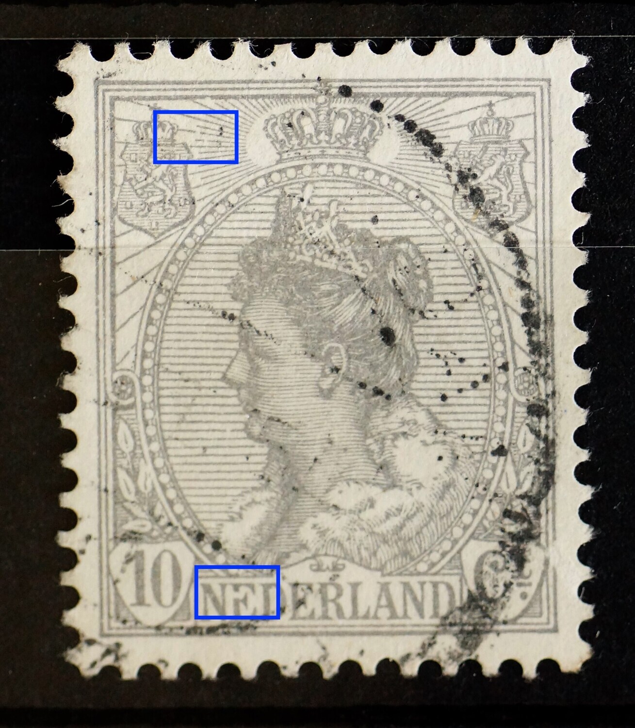 NVPH 81 - o.a. breuk in 1e E van NEDERLAND
