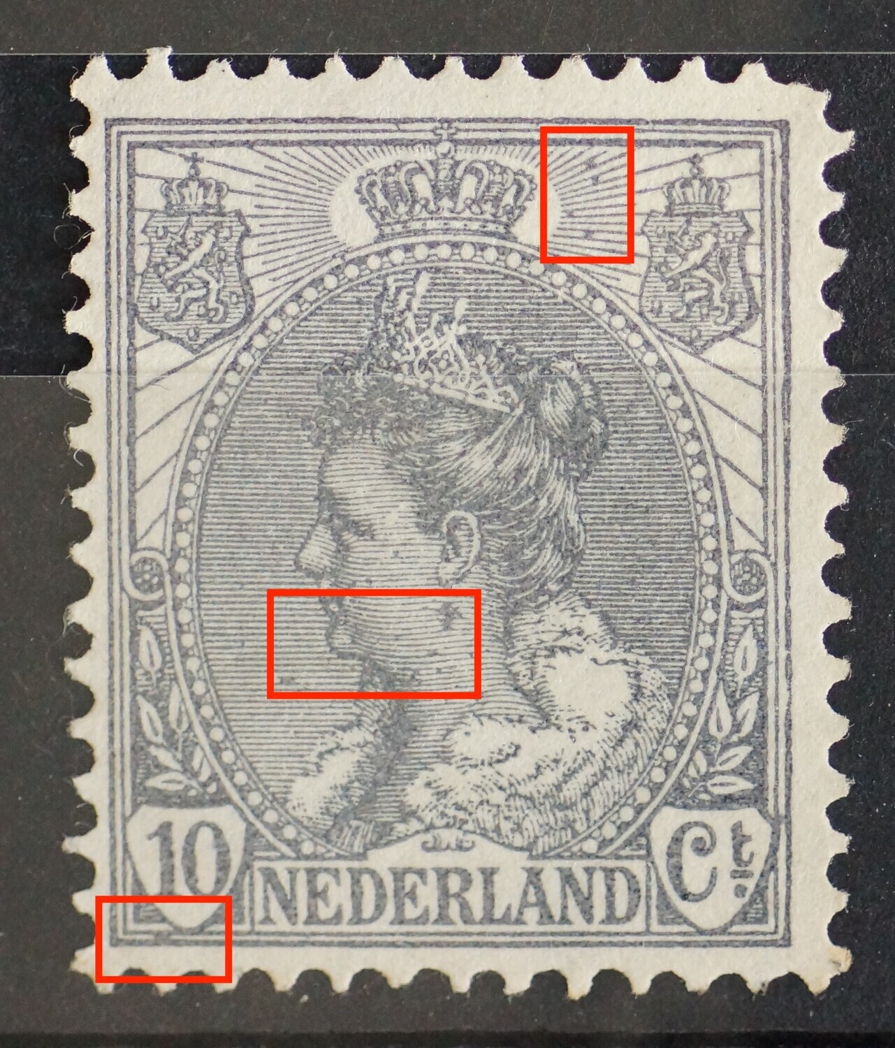 NVPH 62 - grijze vlekken op diverse plaatsen in het zegelbeeld