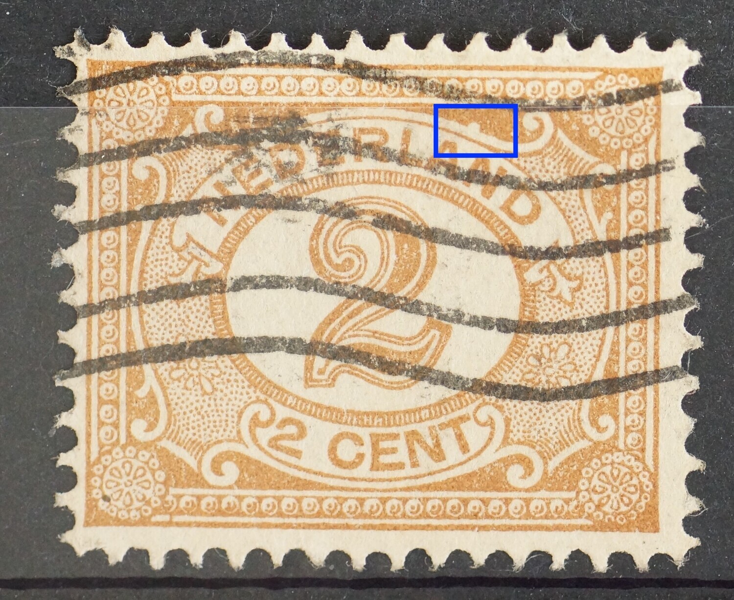 NVPH 54 - witte vlek boven AN van NEDERLAND