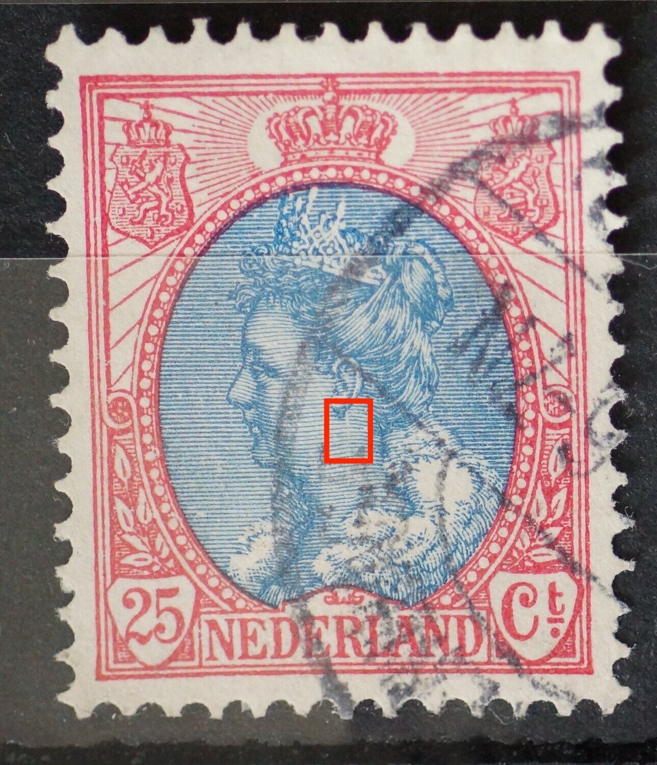 NVPH 71 - verticale witte kras onder het oor NVPH 71 - verticale witte kras onder het oor