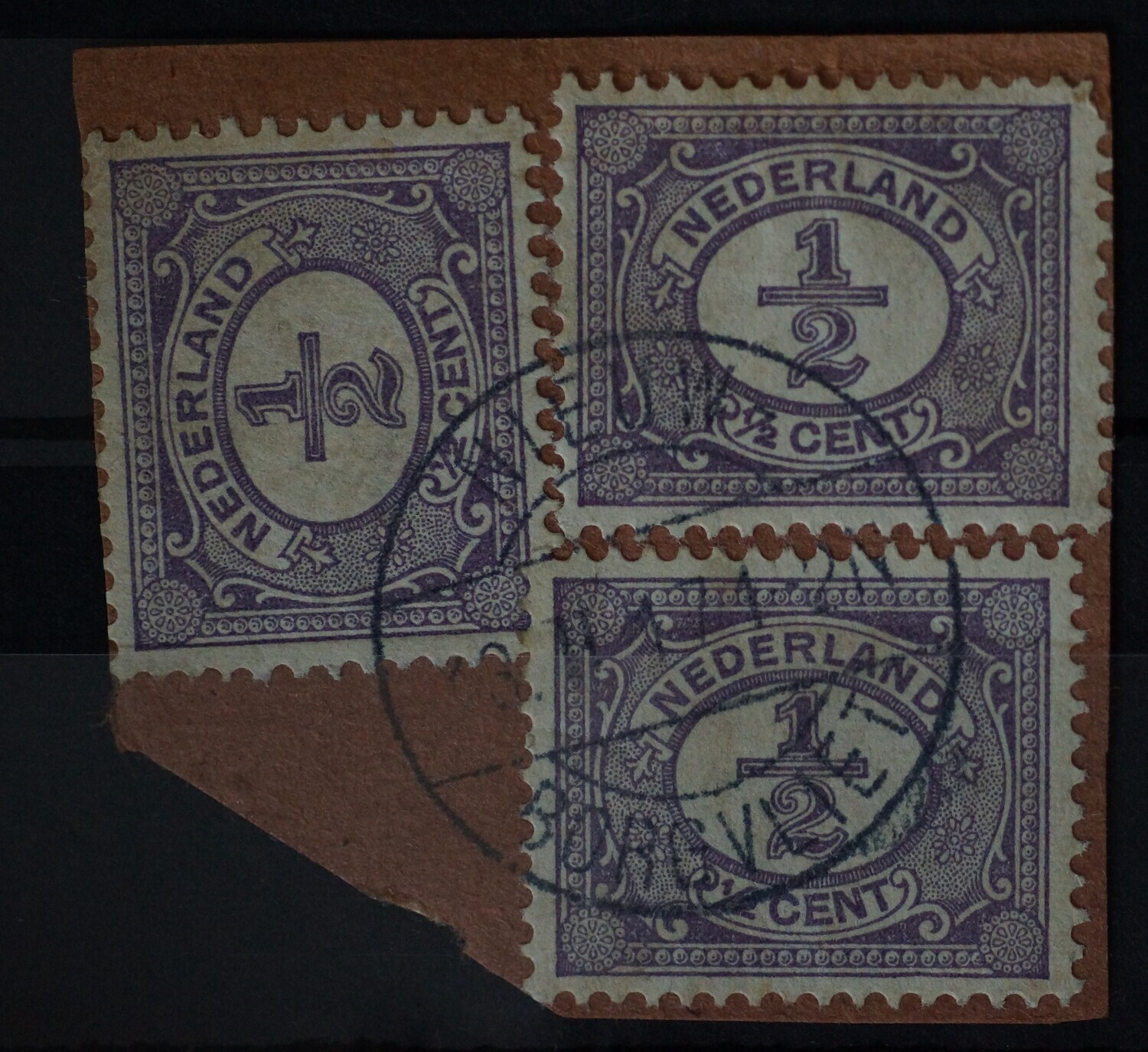 Nieuw-Borgvliet op NVPH 50 (3x) - schaars