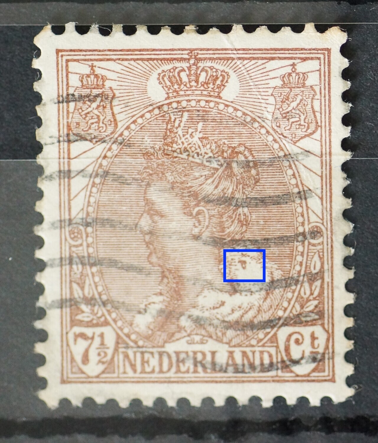NVPH 61 - bruine vlek in bontkraag