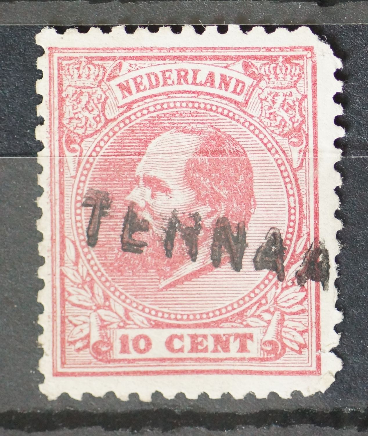 Ternaard op NVPH 21