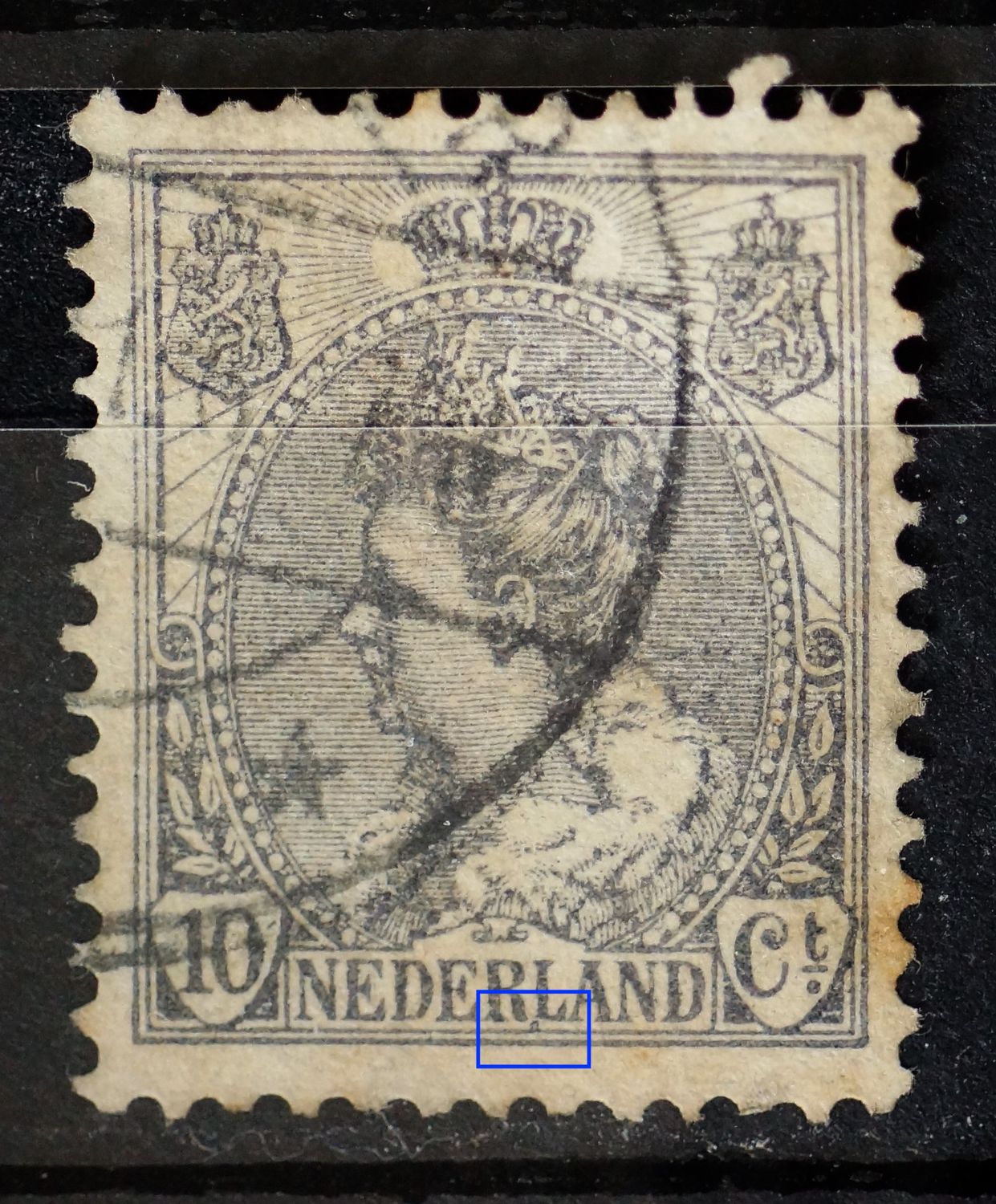 NVPH 62 - grijze punt onder RL van NEDERLAND