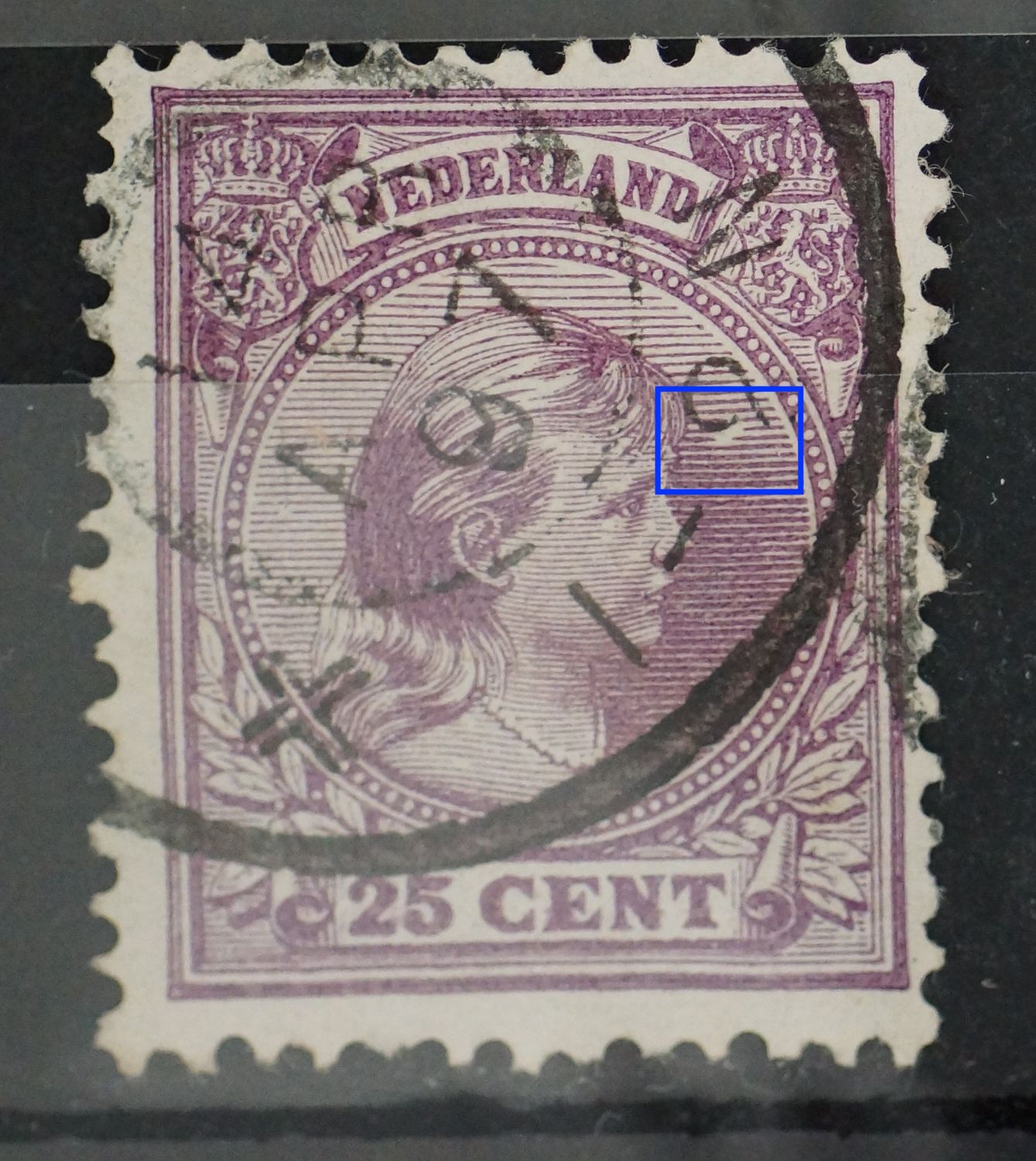 NVPH 42 - grote witte vlek voor het hoofd