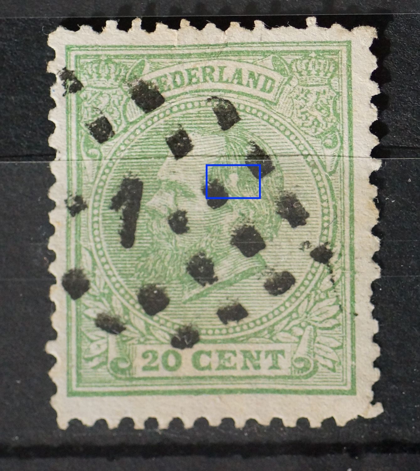 NVPH 24 - witte vlek in het haar NVPH 24 - witte vlek in het haar