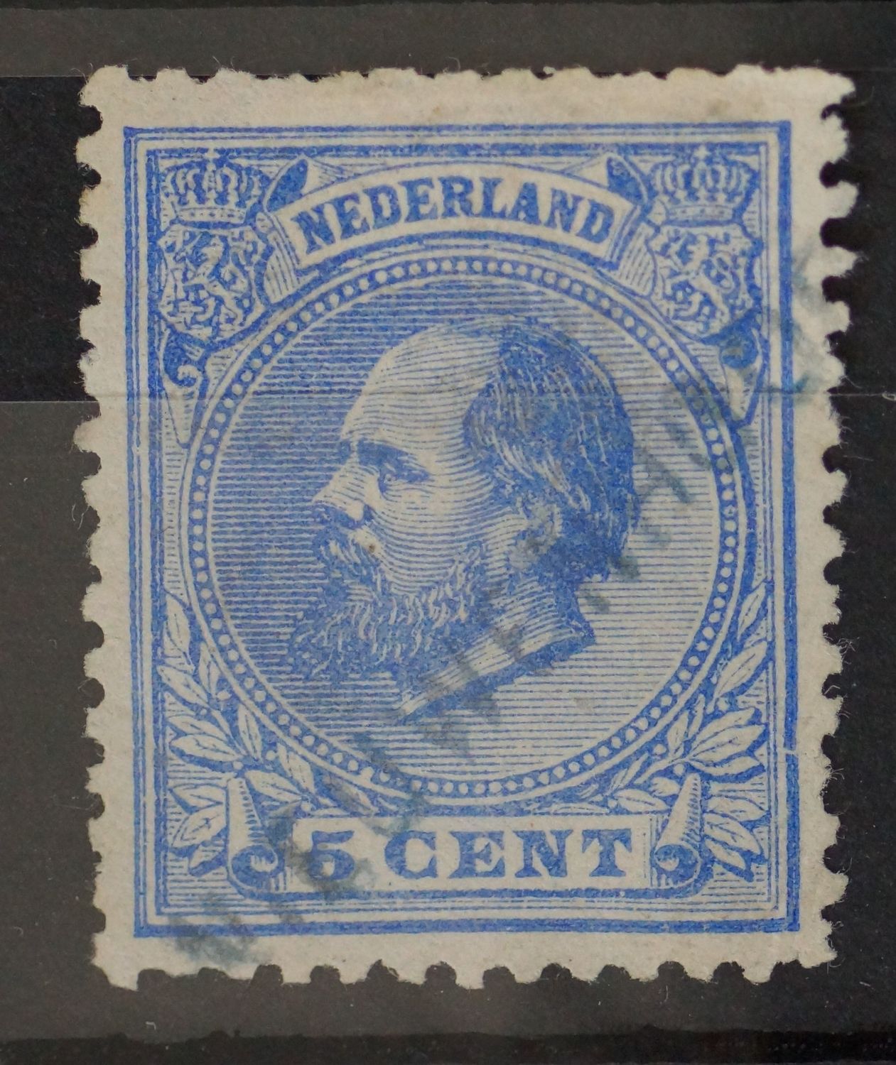 Niewerhoorn (in blauw) op NVPH 19