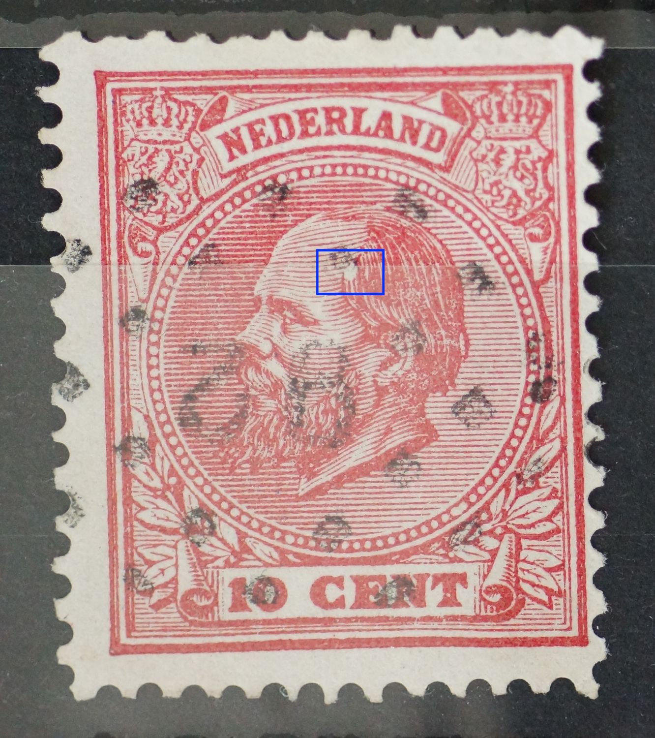 NVPH 21 - witte vlek in het haar NVPH 21 - witte vlek in het haar