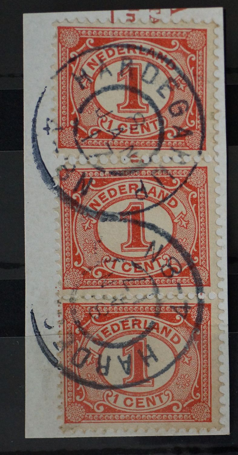 Hardegarijp op NVPH 51 (paar + 1)