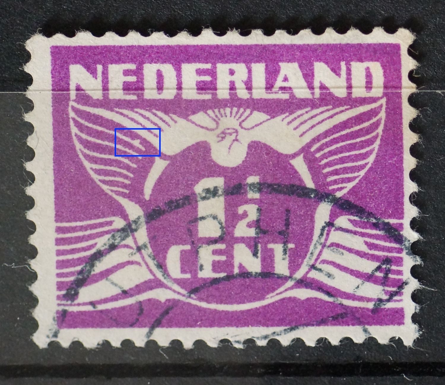 NVPH 171 - witte vlek onder vleugel, links NVPH 171 - witte vlek onder vleugel, links