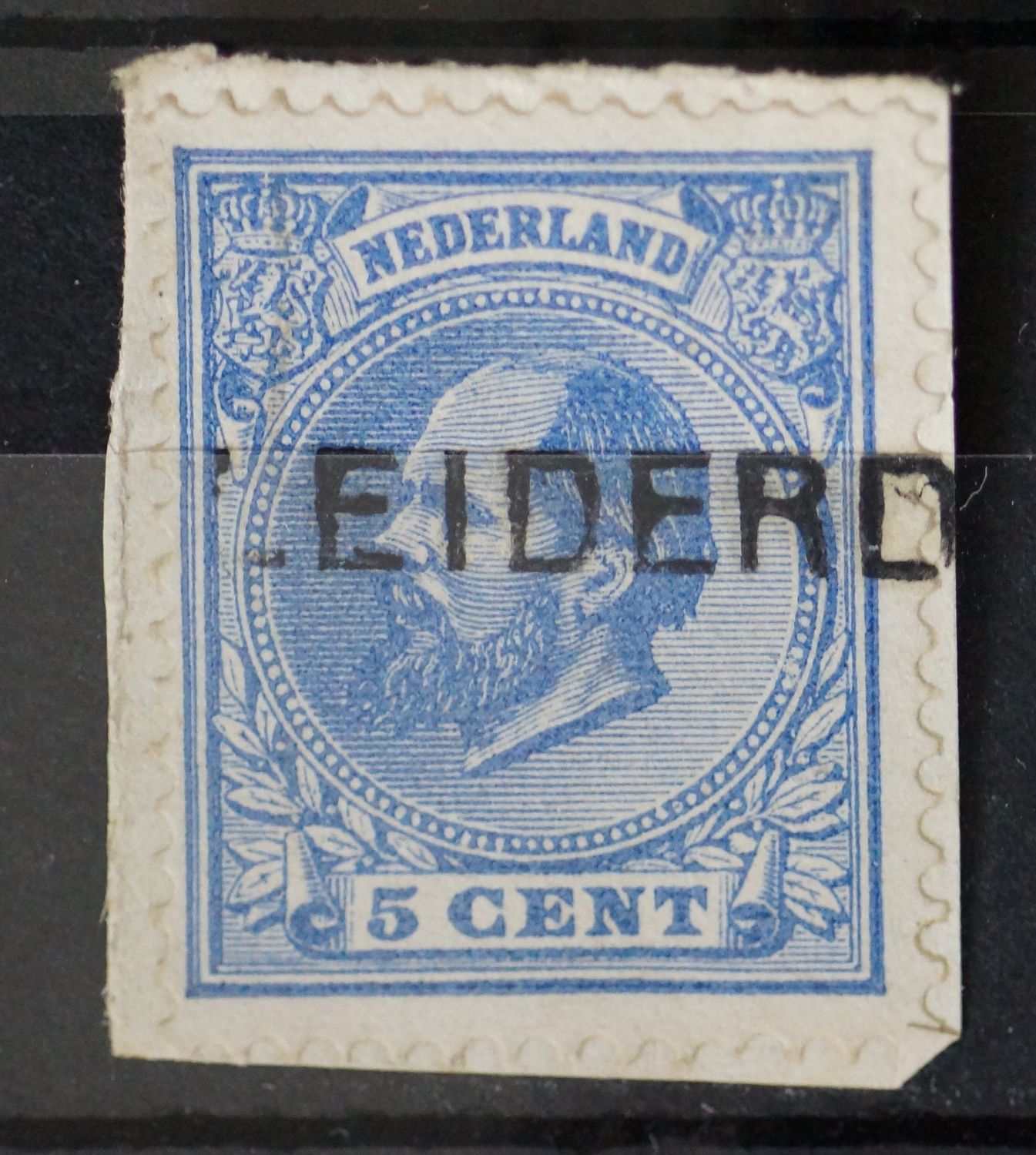 Leiderd(orp) op NVPH 19