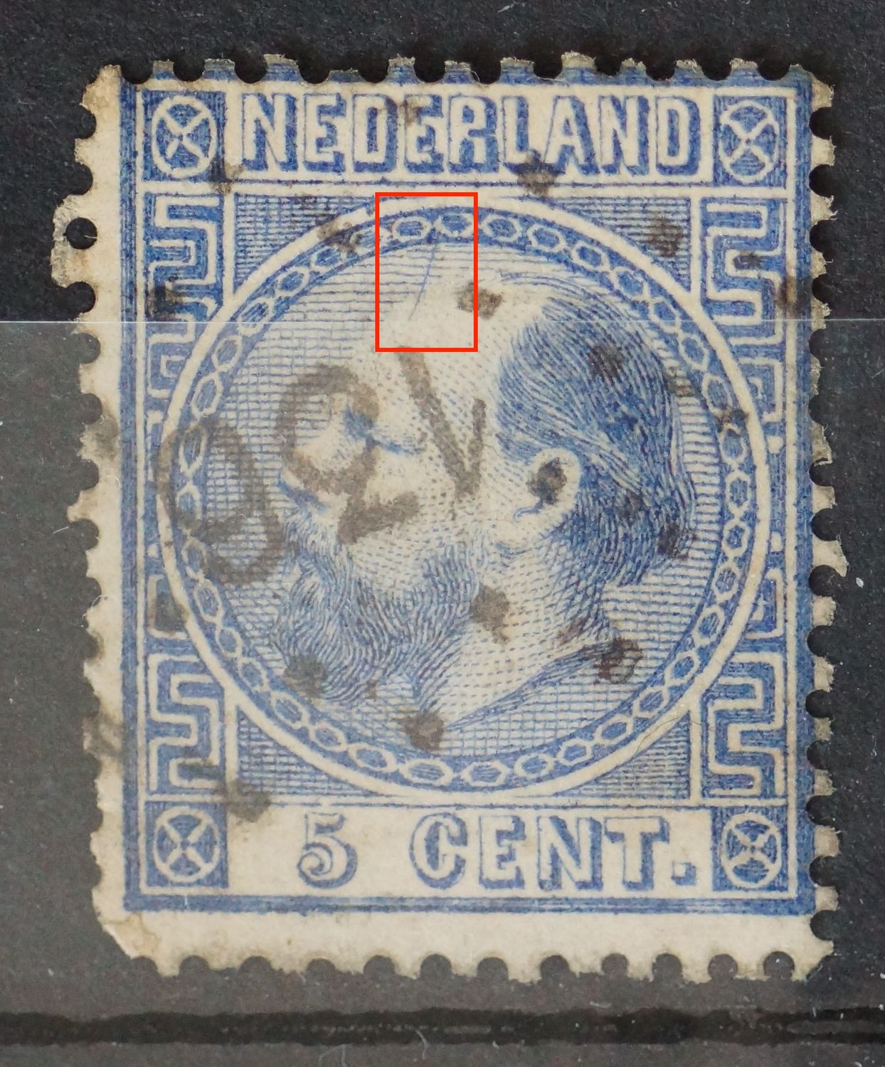 NVPH 7 - veritkale blauwe kras boven het hoofd