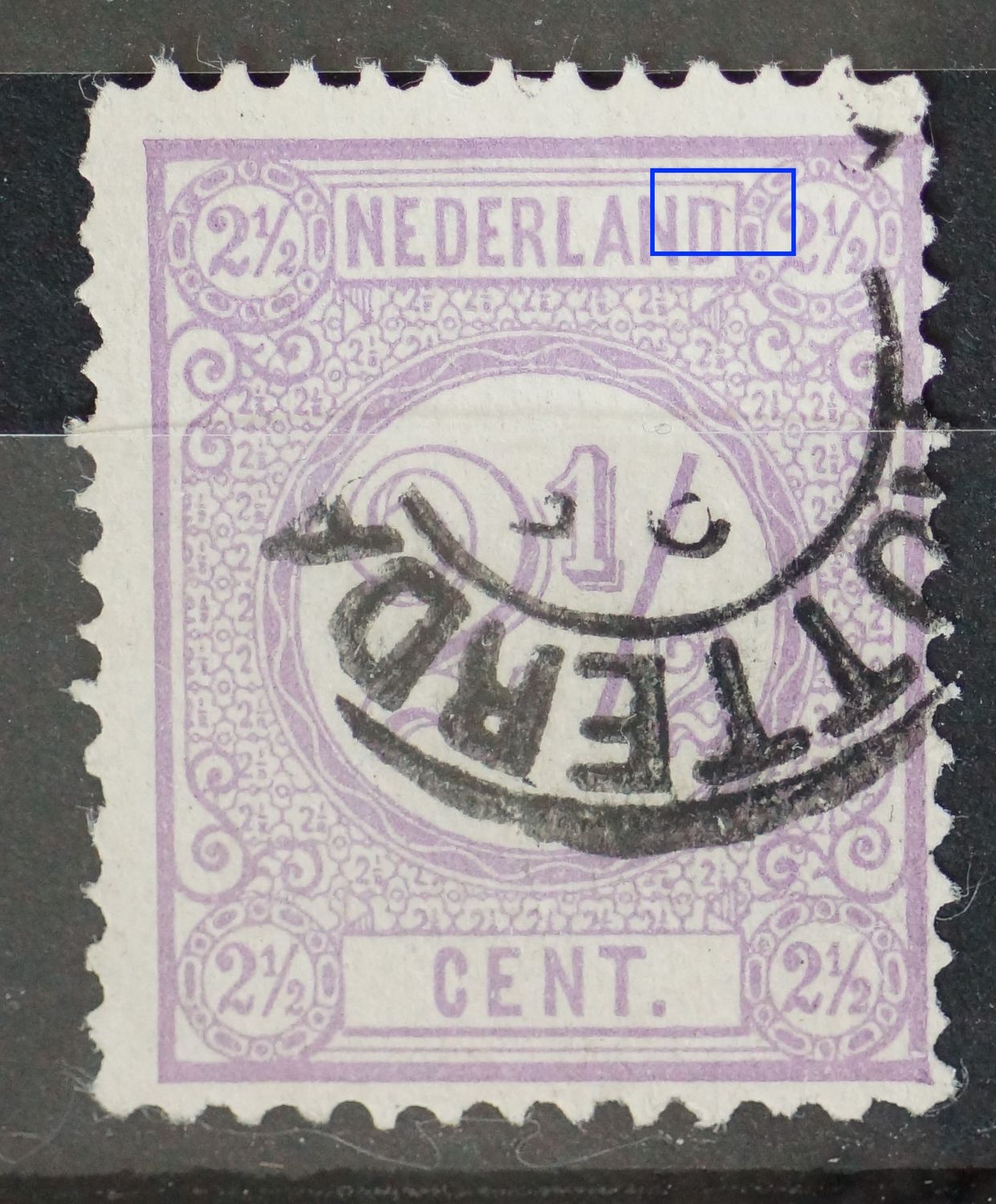 NVPH 33 - violette haal bovenaan de 2e D van NEDERLAND