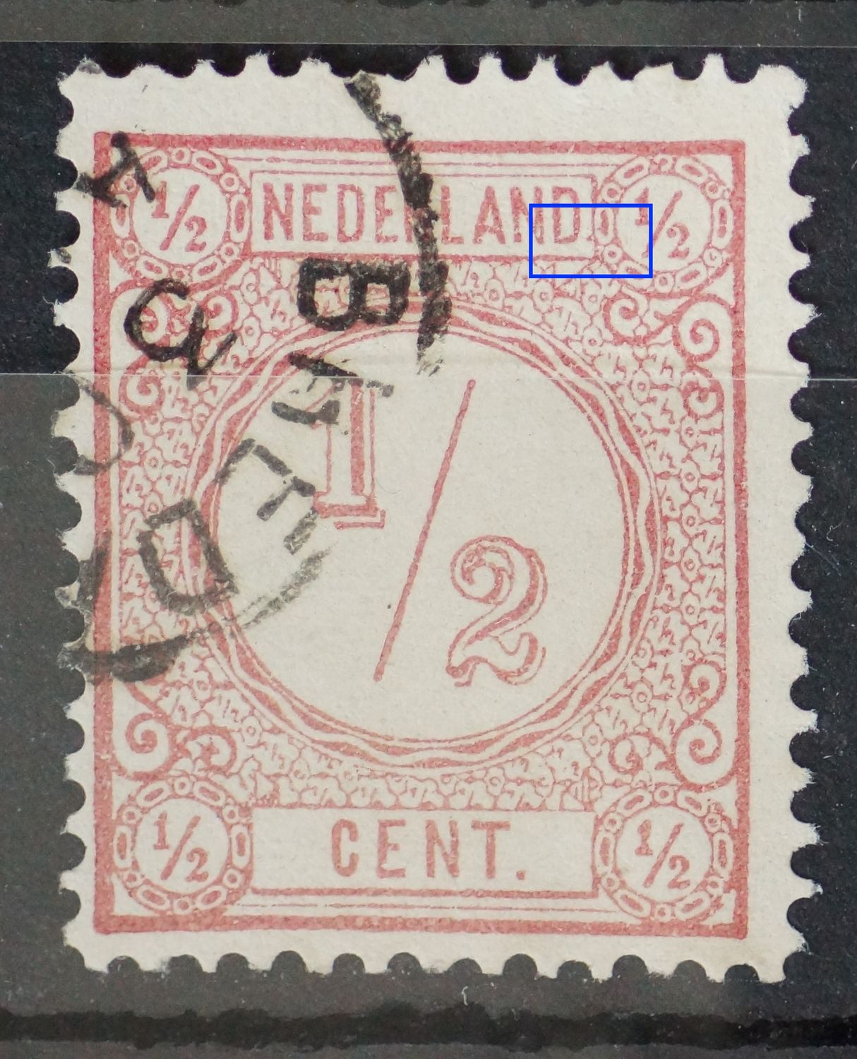 NVPH 30 - roze punt rechts van NEDERLAND