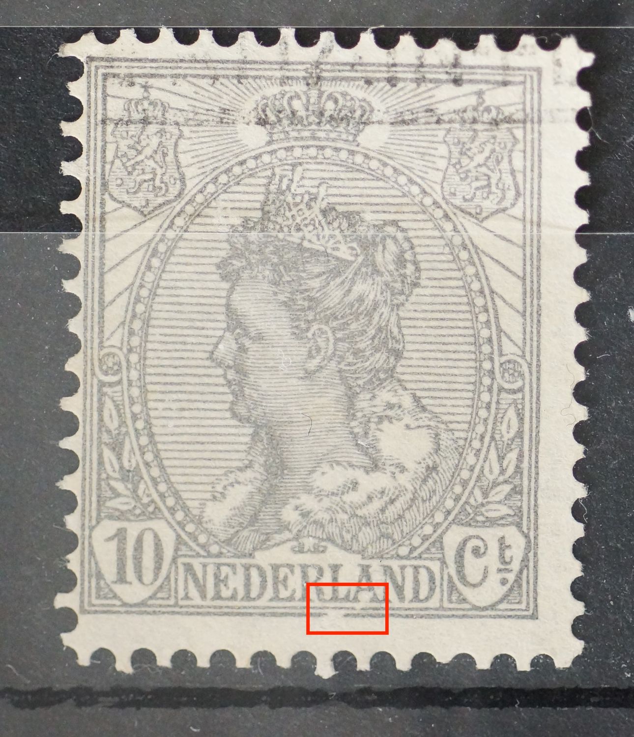 NVPH 81 - breuk in kaderlijnen onder deL van NEDERLAND NVPH 81 - breuk in kaderlijnen onder deL van NEDERLAND