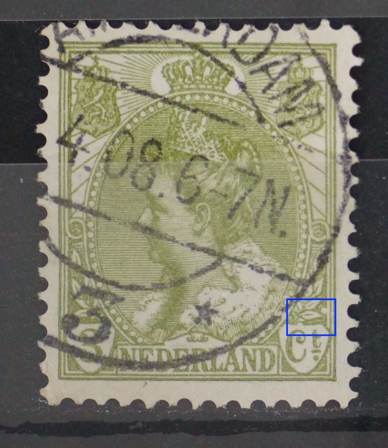 NVPH 57 - breuk in schild van Ct. en witte vlek bij blad rechts