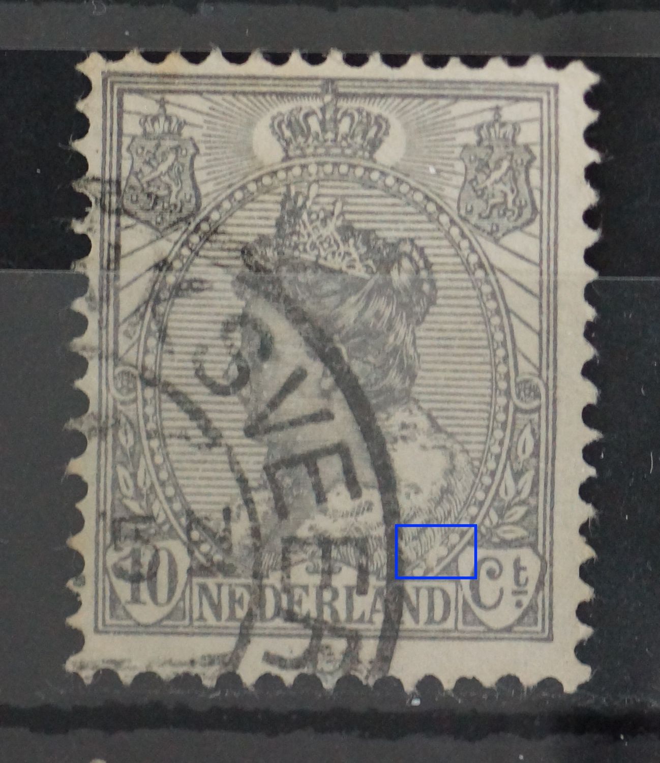 NVPH 81 - witte vlek in rand medaillon rechtsonder