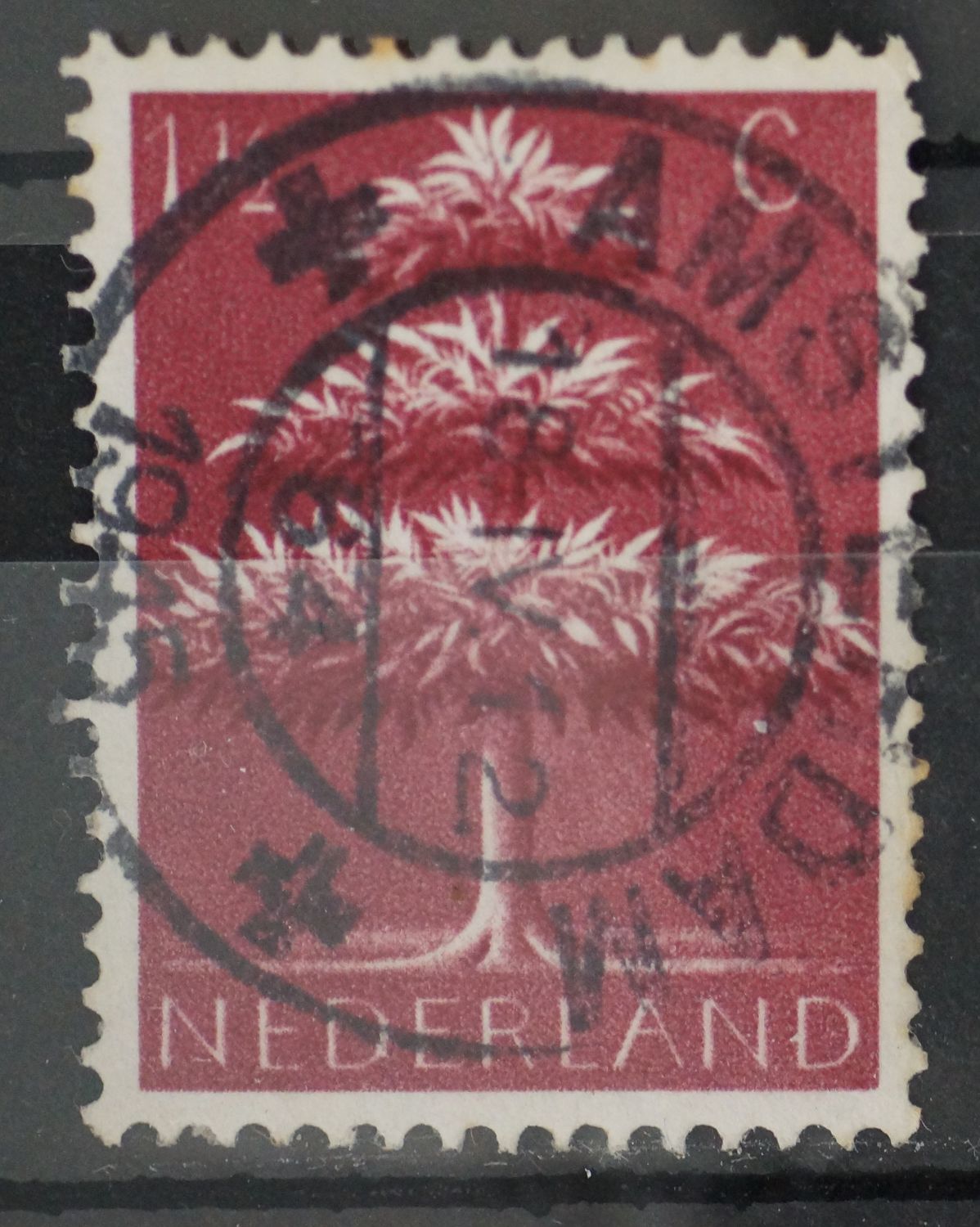 Amsterdam 64 op NVPH 406