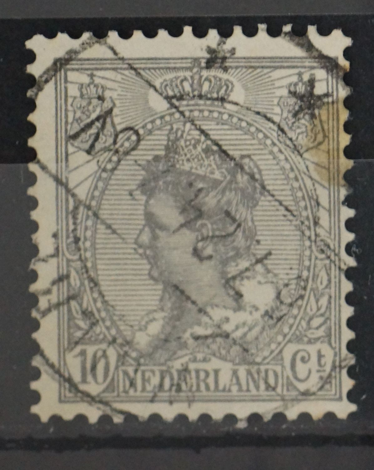 Wijlre op NVPH 81 Wijlre op NVPH 81