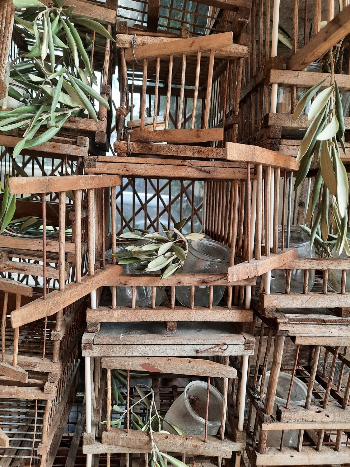 Cages en bois anciennes