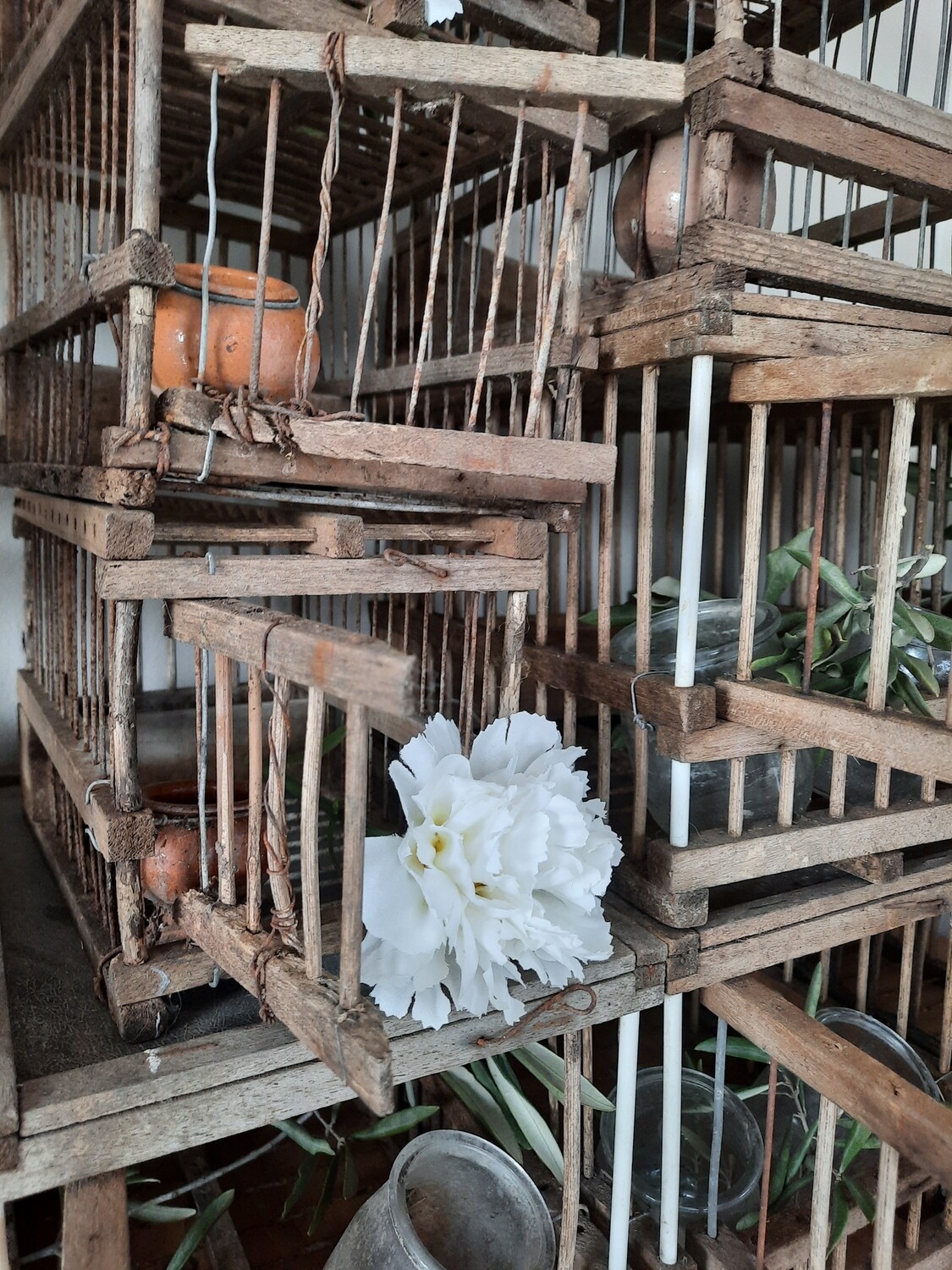 Cages en bois anciennes