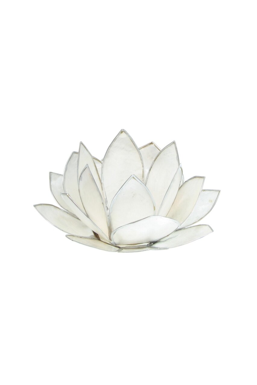 Lotus Licht weiß