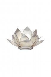 Lotus Licht silber
