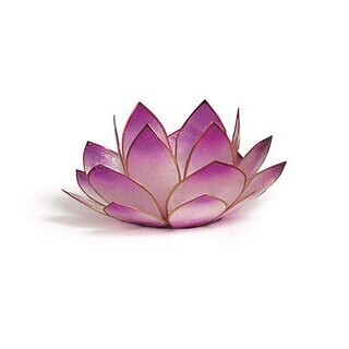Lotus Licht lavendel