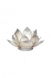 Lotus Licht silber