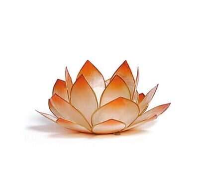 Lotus Licht mandarin