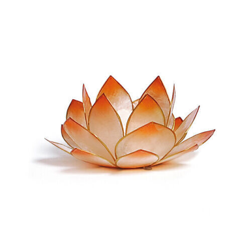 Lotus Licht mandarin