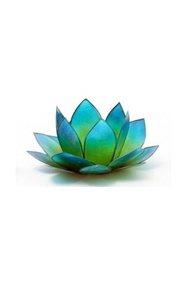 Lotus Licht grün-blau