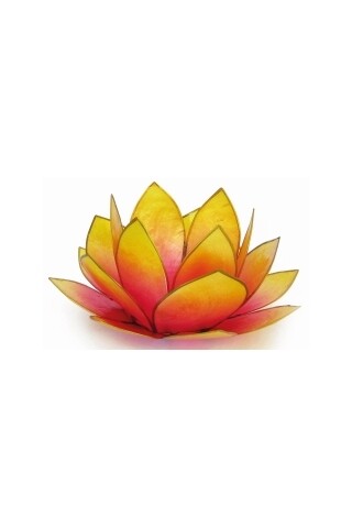 Lotus Licht pink-gelb