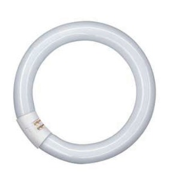 Phillips Leuchtstofflampe L 22W/840 C Ringform Phillips Leuchtstofflampe L 22W/840 C Ringform